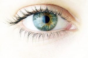 eye health ophthalmology and ayurveda