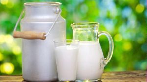 milk has an important role in the Ayurvedic pharmacopeia